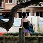 Pic of PUBLIC VIOLATIONS