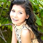 Pic of Erotic Asian Video Collection