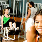 Pic of Monsters of Cock - 