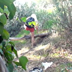 Pic of PUBLIC VIOLATIONS