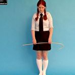 Pic of The biggest Domestic Discipline Site on Earth