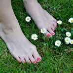 Pic of Nylon Jane Free Sample Pictures