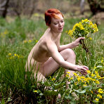 Pic of Lesbian Gallery - Teenies Thumbnails, Nude Virgin Pics