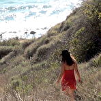 Pic of PUBLIC VIOLATIONS