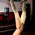 Pic of 80 strokes with the thick long bullwhip - PainGate TGP - spanking whipping flogging