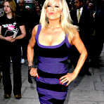 Pic of Samantha Fox picture gallery