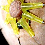 Pic of Shocking Pain (shockingpain)