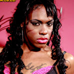 Pic of Franks-TGirl-World.com - Bringing You the Hottest Transsexuals from Around the World