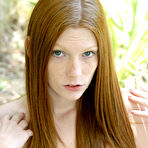 Pic of Little Mutt Free Gallery & Video
