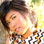 Pic of Erotic Asian Video Collection