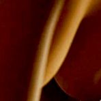 Pic of  Victoria Abril naked photos. Free nude celebrities.