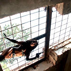 Pic of Kobe Kaige Videos and Movies from Scotty JX