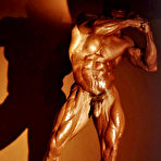 Pic of COLT Studio Group