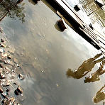 Pic of Susana Spears, Hana Black & Lilian Tiger Reckless Weekend