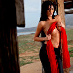 Pic of Photodromm 