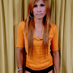 Pic of Petite ladyboy posing in orange fishnet