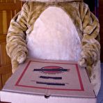 Pic of Dancing Bear, sex party, bachelorette parties gone wild, party hardcore