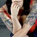 Pic of Hard Tied Gallery on BDSMBook.com