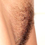 Pic of Hairy pussy amateurs