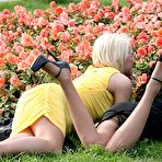 Pic of Sexy Stockings