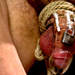 Pic of Divine Bitches - femdom on BDSMBook.com