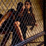 Pic of Whipped Ass - lezdom on BDSMBook.com