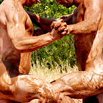 Pic of Next Door Buddies pictures