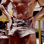 Pic of COLT Studio Group