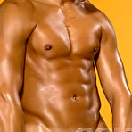 Pic of COLT Studio Group