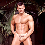 Pic of COLT Studio Group