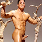 Pic of COLT Studio Group