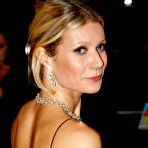 Pic of Gwyneth Paltrow Nude Posing Photos