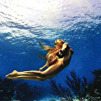 Pic of Estella Warren sexy naked scans from mags