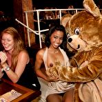 Pic of Dancing Bear, sex party, bachelorette parties gone wild, party hardcore