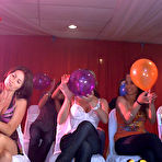 Pic of Tale of the Dancing Bear