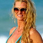 Pic of Nicolette Sheridan