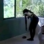 Pic of Smoking Black Beauty - Free Porn Videos, Sex Movies - Babe, Black And Ebony, Amateur, Big Boobs, Toys Porn - 1808525 - DrTuber.com