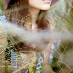 Pic of Olivia Wilde hard nipples under semi-transparent top