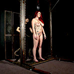 Pic of  : | Bondage | : Free video gallery : House of Taboo - abused,amateur,Asphyxiaphilia,ass,B&D,B/D, babes,ball,ball gag,ball gagged,ball-gag,ballgagged,bd,bdsm,bdsm Blindfolds,bdsm bondage,bdsm torture,bedroom bondage,big,bitgag,bizarre,black,black bdsm,