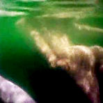 Pic of :: Kelly Brook sex videos @ MrSkin.com free celebrity naked ::