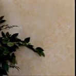 Pic of My Asian Best Friend Suggested We Get Some Black Dick, I Finally Realized What I Was Missing - Free Porn Video - Group Sex, Amateur, Asian, Interracial, Japanese Porn Tube - 6182 - ProPorn.com