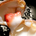 Pic of My first time eating oysters