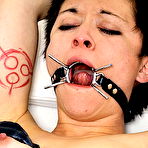 Pic of Japanese Pussy Stapling - Meis Female Torture