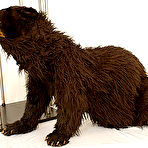 Pic of :: FetishTransformation.com :: Free Movie Gallery