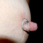 Pic of FREE TORTURE GALLERY