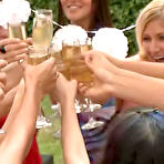 Pic of Dancing Bear, sex party, bachelorette parties gone wild, party hardcore