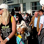 Pic of Porn Traveling: journey porn, vacation porn, amateur teen Ravishing teen gets pussy licked and slammed by a hard cock