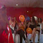 Pic of Dancing Bear, sex party, bachelorette parties gone wild, party hardcore