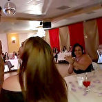 Pic of Dancing Bear, sex party, bachelorette parties gone wild, party hardcore