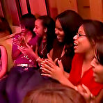 Pic of Dancing Bear, sex party, bachelorette parties gone wild, party hardcore
